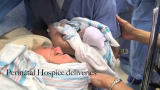 Perinatal Hospice Video [upl. by Nigel]