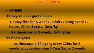 BRUCELLOSIS TREATMENT [upl. by Akirdnwahs]