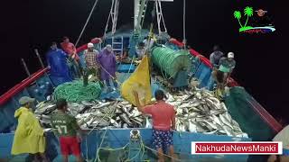 Light Boat Fishing  Night Fishing  Fishing in deep Arabian Sea Honnavar [upl. by Erihppas]