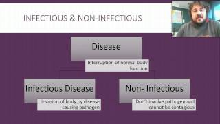 Immunology 02 Infectious and noninfectious Diseases [upl. by Rustie]