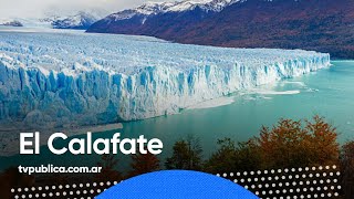 Récord de turistas en El Calafate  Aire Nacional [upl. by Francklin]