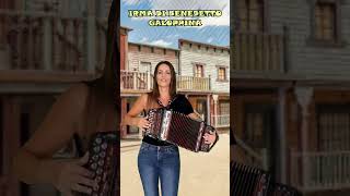 GALOPPINA  IRMA DI BENEDETTO  Organetto Abruzzese Accordion [upl. by Walston]