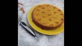 Famous Middle Eastern Dessert Basbousa Recipe Samolina Cake Recipe Shorts Zaras Kitchen [upl. by Mavis]