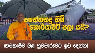 කොරියාවේ සිට ජාතියට ලබා දෙන විශේෂ පණිවිඩය [upl. by Ahsinam]