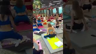 😳😳😳 yogagirl poweryogaforsports sports yogafun subscribe motivation beauty yogae beauty [upl. by Eicnahc]