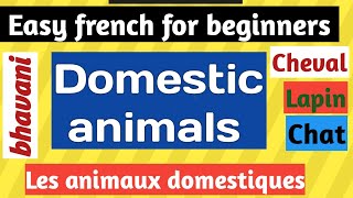 French voice  french domestic animals  Episode15  how to say domestic animals in french [upl. by Armando6]