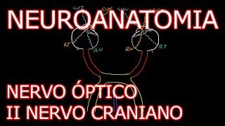 Aula Neuroanatomia  Nervo Óptico II Nervo Craniano e o Sistema Visual  Neuroanatomia 62 [upl. by Lowis]