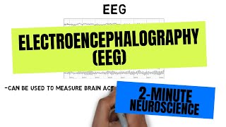 2Minute Neuroscience Electroencephalography EEG [upl. by Gradeigh733]