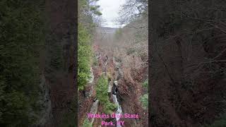 Watkins Glen state park  NY watkinsglen upstateny waterfall fingerlakesny [upl. by Adnorhs]