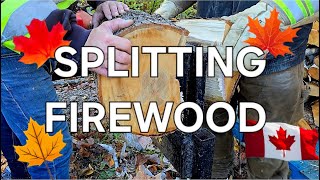 BIG FIREWOOD LITTLE SPLITTER [upl. by Forlini925]