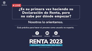 DIAN le presenta el usuario no experto para hacer la Declaración de Renta [upl. by Nyl]