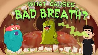 What Causes Bad Breath  The Dr Binocs Show  Best Learning Videos For Kids  Peekaboo Kidz [upl. by Mimi976]