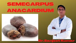 Tutorial 48SEMECARPUS ANACARDIUM [upl. by Ravert]