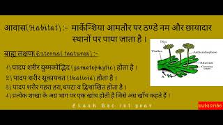 Morphology of Marchantia in hindi।।Bsc 1st year।।मार्केन्शिया के बाह्य लक्षण आवास व वर्गीकरण [upl. by Ahsart629]