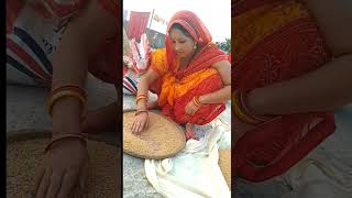 Chhath Puja naha kha 🌺🙏like tranding subscribe [upl. by Grishilda]