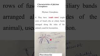 Characteristics of Ctenophorazoologyshort QuestionADSBs [upl. by Eudo]