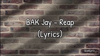 BAK Jay  Reap Lyrics [upl. by Mccartan]