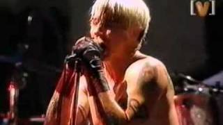 Red Hot Chili Peppers  Soul To Squeeze Live in Sidney [upl. by Trisha]