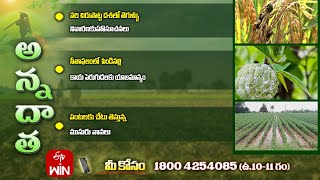 19th October 2024  Annadata  అన్నదాత  Full Episode  ETV Telugu [upl. by Pavel212]