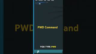 How to Use PWD Command  Linux Terminal Tutorial  Cybersecurity Essentials  Kali Linux [upl. by Nire]