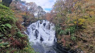 Rhaeadr Ewynnol  Swallow Falls Big Waterfall in wales wales waterfull forest [upl. by Ahsienaj902]