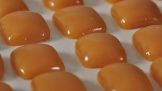 Caramels Recipe Demonstration  Joyofbakingcom [upl. by Murrell]