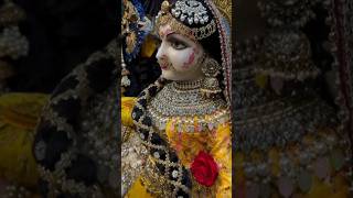 Radhe Braj jan man sukh radhe 💛❤️krishna radha vrindavan barsaana trending short [upl. by Anilet370]