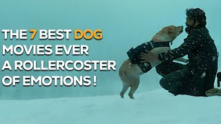 quotTOP 7 MustWatch Movies That Every Dog Lover Should Watchquot  Best Dog Movies [upl. by Bobker]