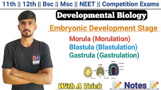 Morulation  Blastulation  Gastrulation  Embryonic Development  Embryogenesis  By Dadhich Sir [upl. by Ymrej]