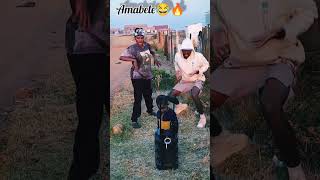 Amabele Amapiano amaentertainer sowetosfinest Hadiwele🔥🔥🕹 NewDancechallenge viralvideo [upl. by Tibold]