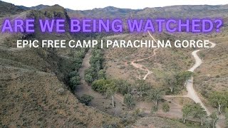 Epic FREE Camp  Parachilna Gorge [upl. by Saeger]