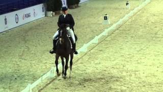 CAVALIADA Warszawa 2016 Finał KPMG Dressage Cup Ewa Hamkało i Vivaldi [upl. by Rundgren]