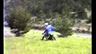 YAMAHA 250 YZ 1987 MCC wmv [upl. by Drolet]