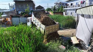 Completed 100 project Dozer amp 5T Truck pushing soil on flooded land into water [upl. by Oletta]