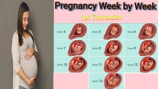 pregnancy week by week  Lifecycle of baby in womb from 1 till 13 week  First Trimester  Vitals [upl. by Hanan563]