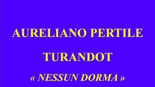 Aureliano Pertile Turandot Nessun dorma Fonotipia 168 625 enregstré le 24 janvier 1927 [upl. by Rehpatsirhc385]