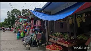 Downtown Castillejos Zambales Philippines amp Castillejos Public Market [upl. by Jolenta]