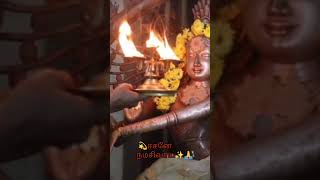 sivanwhatsappstatustamilarunachaleswarar songsannamalaiyar songssivansongs tamilsivasivaya [upl. by Danika]