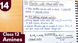 14 Reaction of amines with nitrous acid  Test for 1° aliphatic vs aromatic amines Amines class12 [upl. by Eesac]