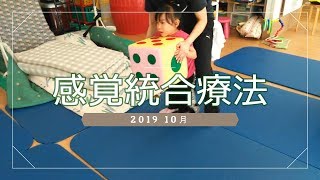 10月感覚統合療法動画メモ [upl. by Harpole234]