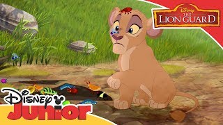 The Lion Guard  On Safari with Grubs  Official Disney Junior Africa [upl. by Wasson]