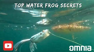 Top water Frog Bass Fishing How to catch more fish in HOT weather [upl. by Thirzi]