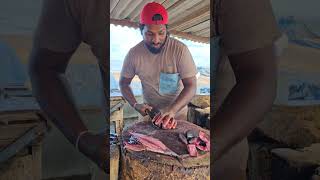 Fastest Tuna Fish Cutting Skill  Colourful Skipjack Tuna Fish Cutting Skill By Expert Fish Cutter [upl. by Mcgray875]