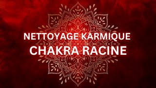 BLOCAGE CHAKRA RACINE  Nettoyage de mémoire karmique  Libération puissante Karma  Vie antérieure [upl. by Roque811]