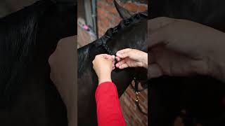 How To Plait A Horse [upl. by Aleka35]