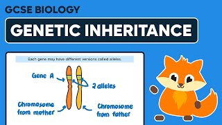 Genetic Inheritance  GCSE Biology [upl. by Relyhs521]