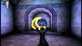 Lets Play Harry Potter and the Sorcerers Stone  Part 9 [upl. by Leirvag]