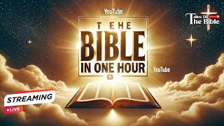 THE BIBLE in 1hr  THE COMPLETE STORY OF THE BIBLE like youve NEVER SEEN biblestories [upl. by Kendra574]