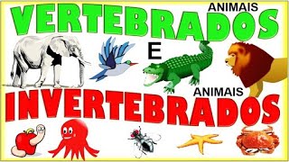 Animais Vertebrados e Invertebrados [upl. by Esirahc]