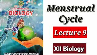 Menstrual Cycle Lecture 9 [upl. by Lynea366]